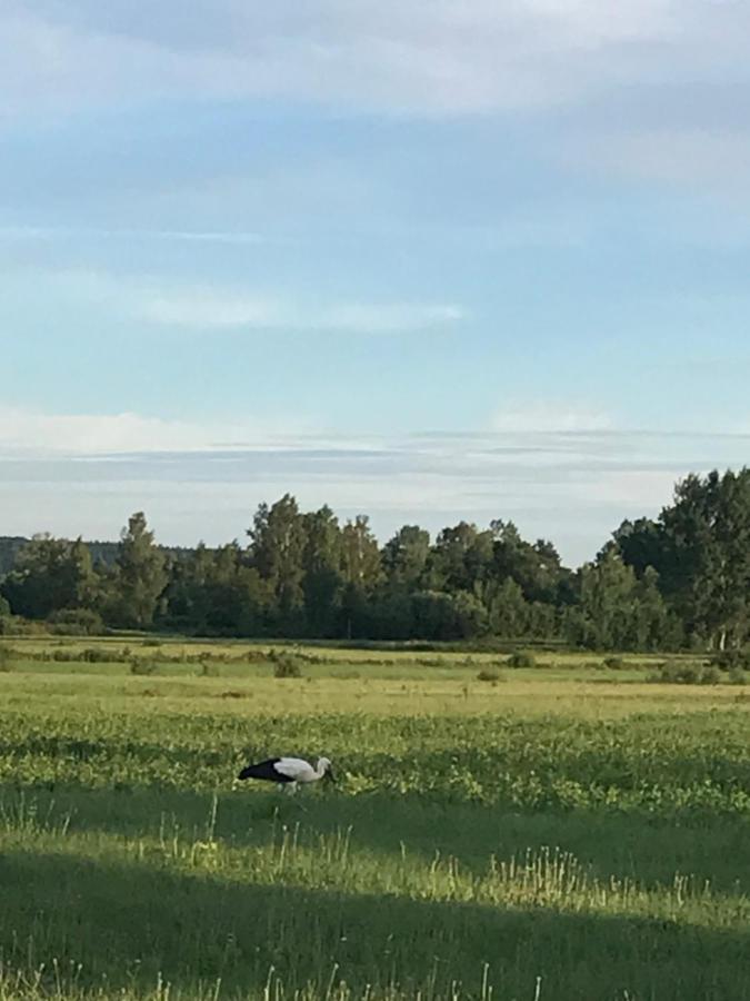 Dzika Plaza Wierzchucino Buitenkant foto